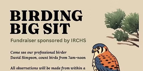 Birding Big Sit