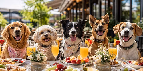 BARK & BRUNCH