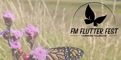 FM Flutter Fest