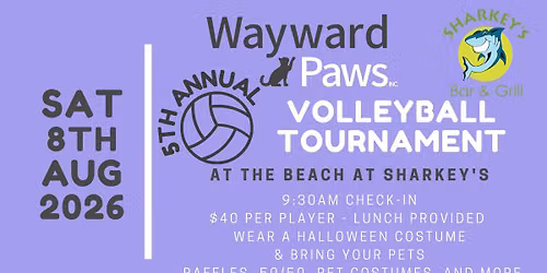 5th Annual Wayward Paws Volleyball Tournament
