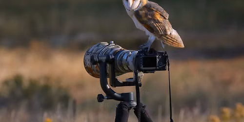 Wings at Dusk - Photography Evening