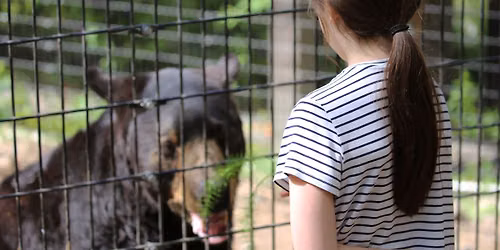 Daily Animal Feeding Experiences in July
