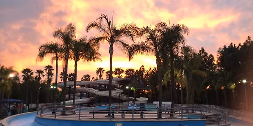 Friday Night Splash!