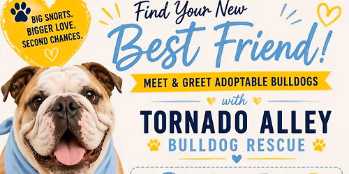Meet & Greet: Adoptable Bulldogs at A1 Pet Emporium \ud83d\udc3e\ud83d\udc9b