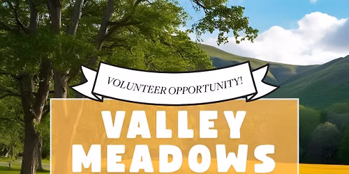 Valley Meadows Park Clean-Up