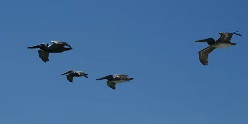 Marine Conservation Beach Walk