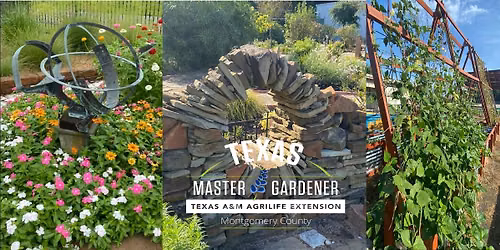 June Open Gardens Day at the MCMGA Gardens