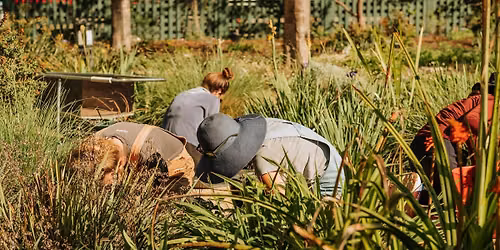 California Native Garden Design, Part 2