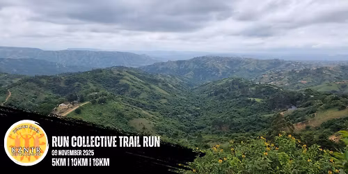 Summer Series: Run Collective Trail Run 2025