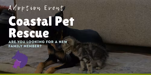 \u2764\ufe0f Dog Adoption Meet & Greet with Coastal Pet Rescue