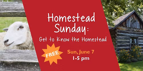 Homestead Sunday: Get to Know the Homestead