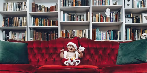 Christmas Minis Take 3 - Bowring Park, St. John's