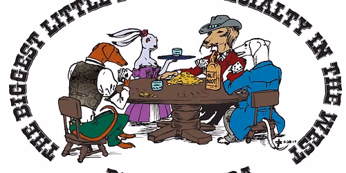 The Biggest Little Saluki Specialty in the West!  SCOA Reno Regional!