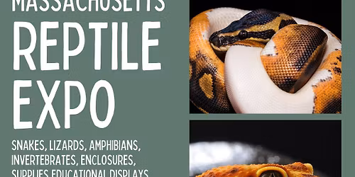 June 2026 Massachusetts Reptile Expo 
