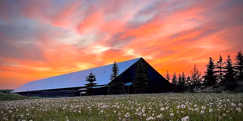 Friday Prairie Nights Market