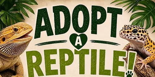 Adopt a Reptile