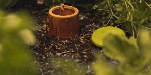 Water Smart Gardening