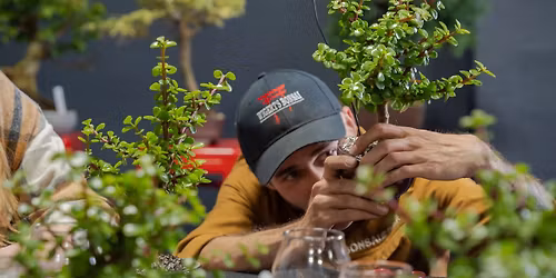 Bonsai Workshop at Crooked Beech Brewing Company