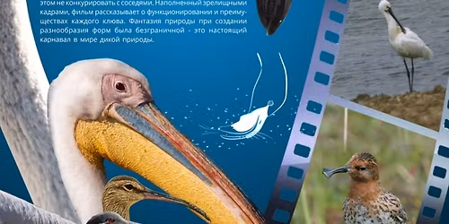 \u041f\u043e\u043a\u0430\u0437 \u0444\u0438\u043b\u044c\u043c\u0430 \u00ab\u041a\u0430\u0440\u043d\u0430\u0432\u0430\u043b \u043a\u043b\u044e\u0432\u043e\u0432\u00bb \u0438 \u043b\u0435\u043a\u0446\u0438\u044f \u0410\u043b\u0435\u043a\u0441\u0430\u043d\u0434\u0440\u044b \u0413\u043e\u0440\u044f\u0448\u043a\u043e