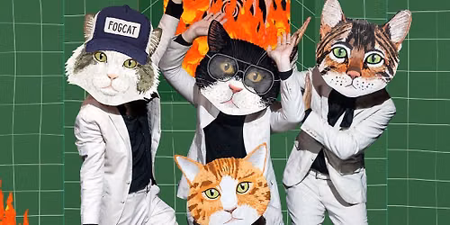 Fantastic Cat