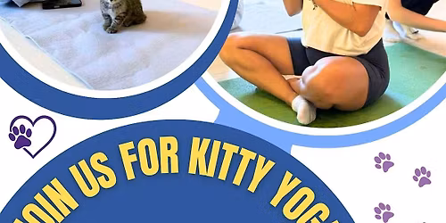 Kitty Yoga at the Peacemaker