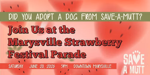 SAM at the Strawberry Parade