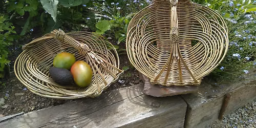 Zarzo Basket Willow Weaving Workshop
