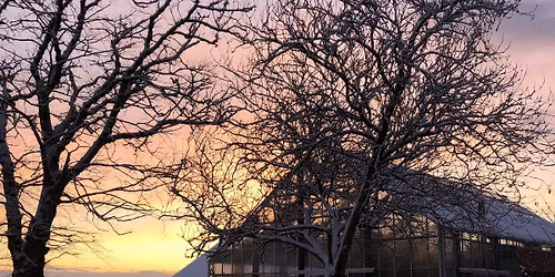 Yoga dagen f\u00f8r dagen