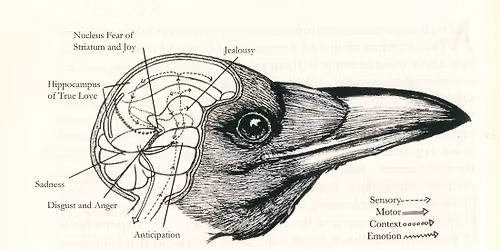 PERFORMANCE & SAMTAL: Sanning, fiktion och bl\u00e5kr\u00e5kans \u00e5terkomst