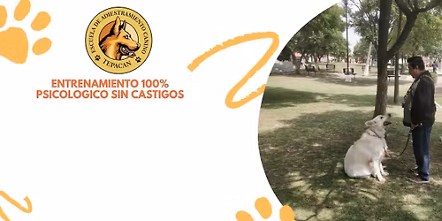 Endurecimiento de mordida