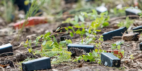 Give Our Bushland a Boost - Baron Way Reserve