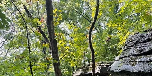 Hike with A Naturalist