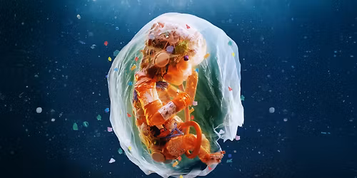 Plastic People - Film