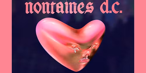 NONTAINES D.C. \u2013 PERFORMING THE MUSIC OF FONTAINES D.C.