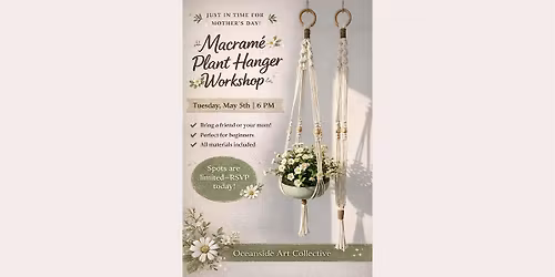 Macrame Air Plant Wall Hanging