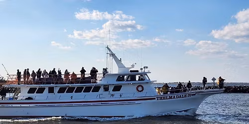 Delaware Bay Seabirds Cruise