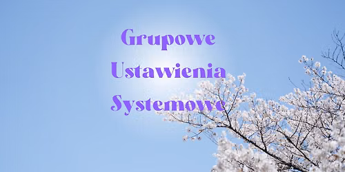 Grupowe Ustawienia Systemowe - Katowice 