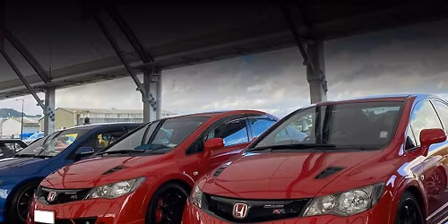 Wellington Annual 2025