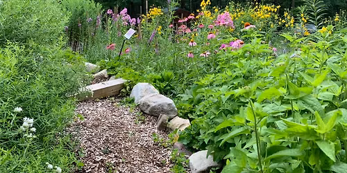 First Native Plant Sale