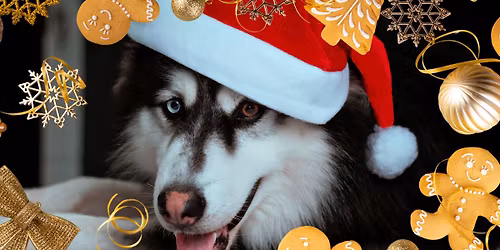 Christmas Lodging Party 