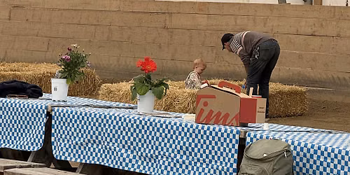 An Unplugged Farm Adventure for Curious Kids at Diamond Willow Farms