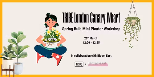 Spring Bulb Mini Planter Workshop