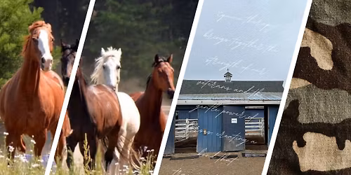 Saddle Fitting Workshop