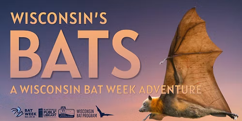 Wisconsin's Bats: A Wisconsin Bat Week Adventure for Kids