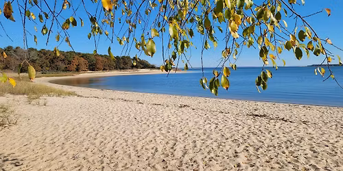 LI-DOG Pack Walk\u2122 at Indian Island County Park, Riverhead!