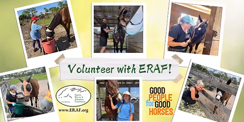 New Volunteer Orientation