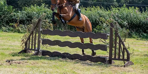 Ashbourne Show Light Horse
