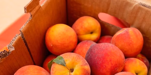 The Peach Truck will be onsite! 1p-7p
