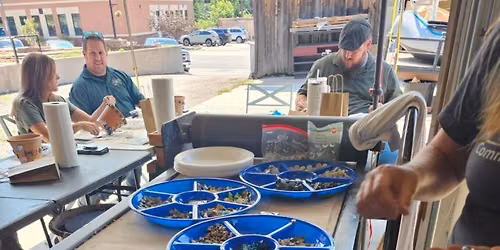 Piece by Piece - Mosaics with Shari