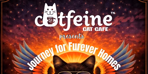 Journey for Furever Homes